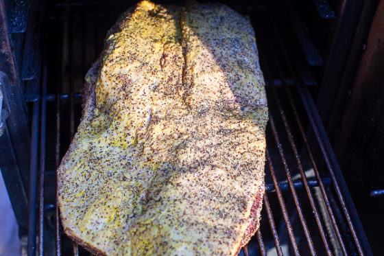 uncooked seasoned brisket on rack in smoker