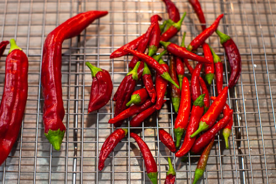chile peppers spread out on wire rack